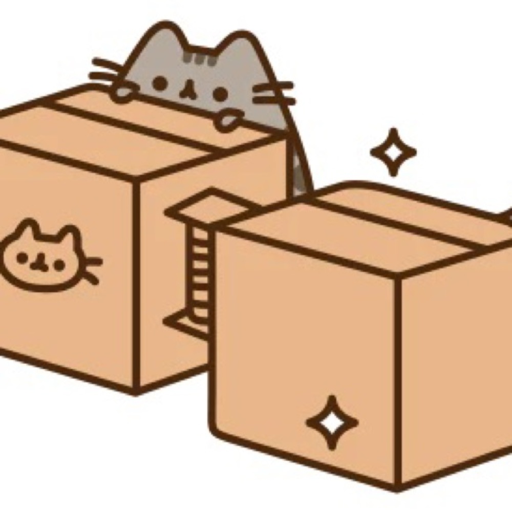 MYSTERY BOX 1